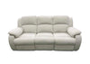 Flowermound Reclining Sofa