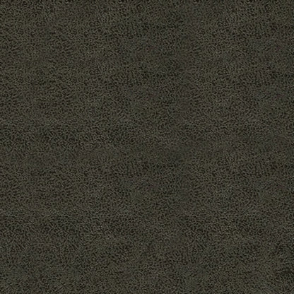 Windstade Rocker Recliner;Granite