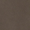Pittsman Recliner