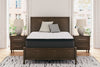 Limited Edition PT Queen Mattress
