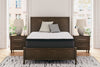 Limited Edition PT King Mattress