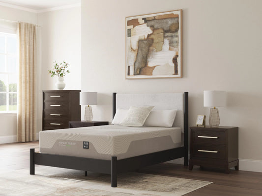 Terra Sleep Medium Queen Mattress