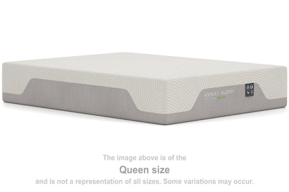 Terra Sleep Medium King Mattress
