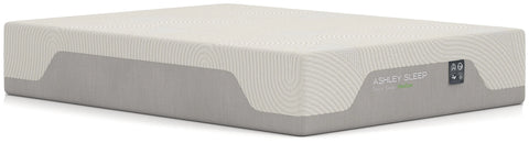 Terra Sleep Medium Queen Mattress