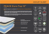 PEACE Euro-Top 13