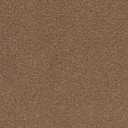 Silverbrooke PWR Recliner/ADJ Headrest